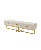 Mira Tv unit